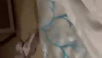 Desi Horny Lover Stand Fucking