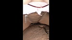 boudi blowjob and riding