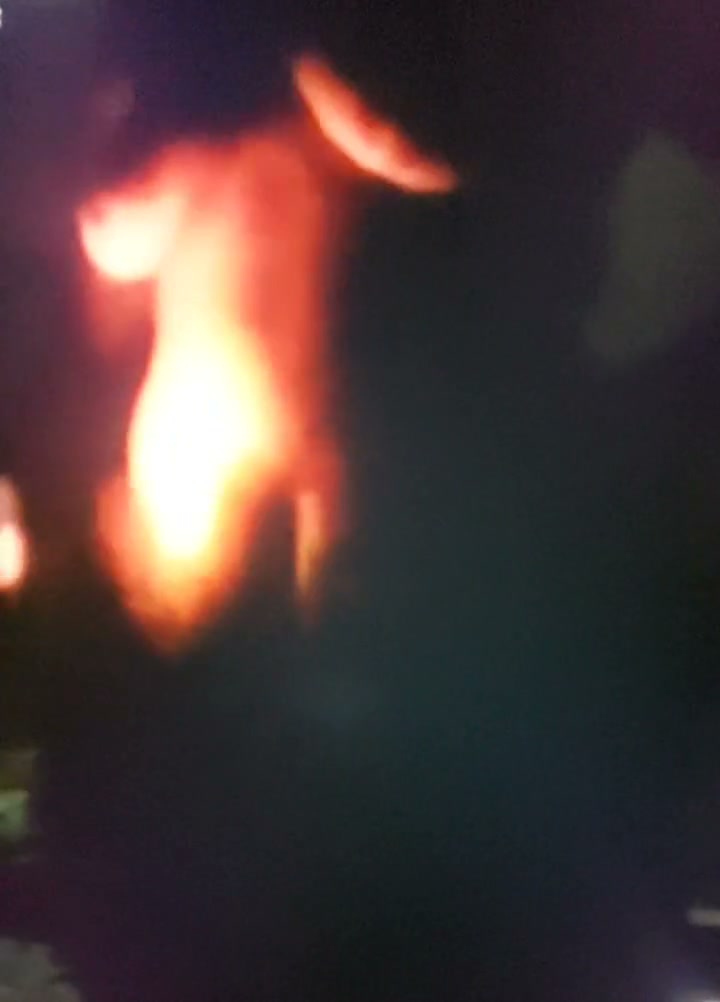 Frame 4