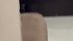 Chubby Mumbai bank employee s hot doggy sex in hotel room
