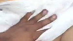 saree bahbhi ko choda