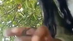 outdoor bj to bf