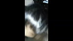 Sexy girl giving Blowjob and fuck