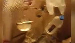 Neighbor bhabhi sucking dick