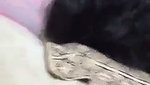 Mallu couple nude sex