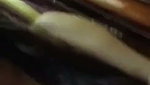 Shy Girl Nude Captured By Boyfriend