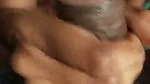 bhabhi sucking dick of her lover