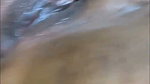 Old Mature South Indian Aunty Ass Fucking