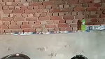 padosi bahbhi ki chudai
