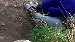 lovers caught fucking
