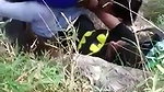 lovers caught fucking