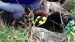 lovers caught fucking