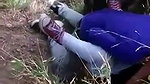 lovers caught fucking