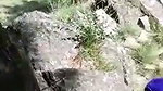 lovers caught fucking
