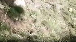 lovers caught fucking