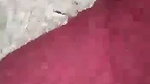 rat ko khule mein ladki ki chudai kri