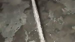 desi girl pee during fingering