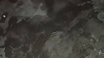 desi girl pee during fingering