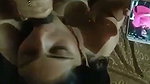 bj di gf ne