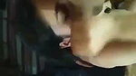 bj di gf ne