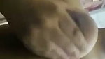 Girl showing her huge boobs  rubing her pussy