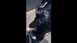 Horny Slim Babe Showing Rubbing Pussy Sucking Dick