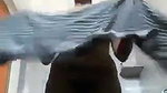 Desihairypussywife