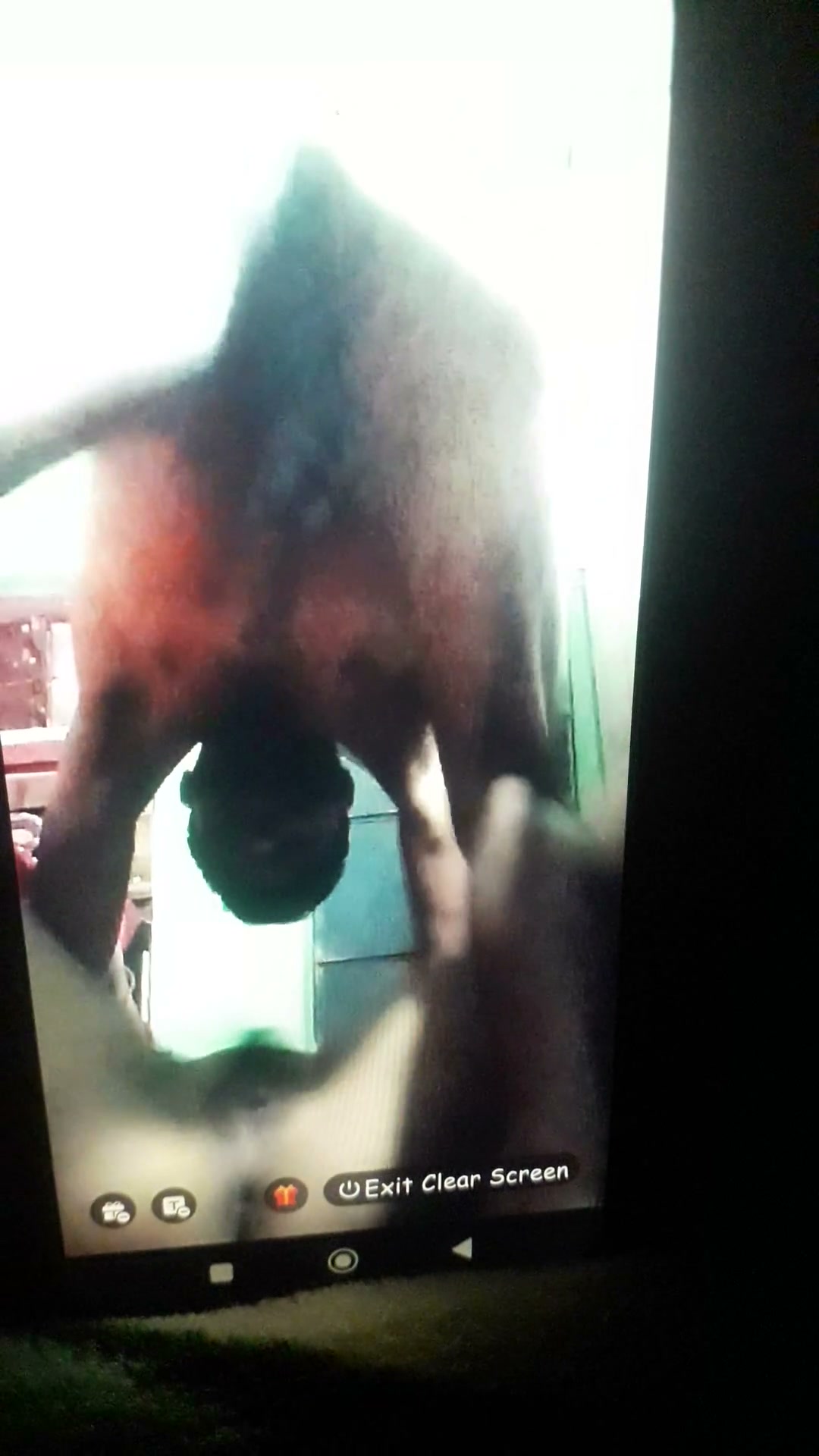 Frame 6