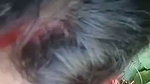 Desi indian sex video 3