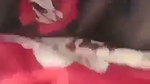 VID 20260517 165209 639