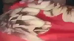 VID 20260517 165209 639