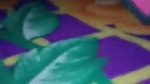 VID 20260517 164334 730