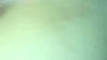 VID 20260517 164255 270