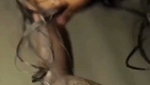 Fucking hard in Doggy  Blowjob