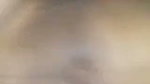 Homely Tamil Wife Giving Blowjob  Fucking