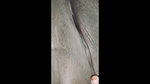Bangladeshi Bhabhi exposed her Body