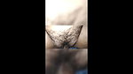 monipuri girl fucking with lover