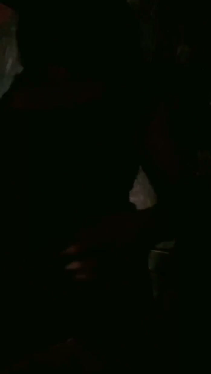 Frame 6