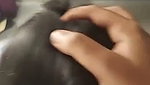 Shaggy Boobs Horny Mallu Girl Old New