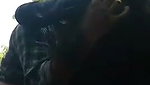 Girlfriend riding bf dick in the middle of the forest