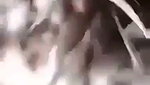 Sexy wife fucking hard with husband