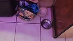 Skinny indian girl blowjob and bf is enjoying on live