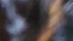 Mallu Wife Blowjob and Fucking