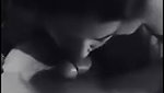 Hot Wife Sucking Bulls Dick