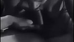Hot Wife Sucking Bulls Dick