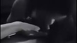 Hot Wife Sucking Bulls Dick