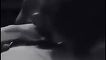 Hot Wife Sucking Bulls Dick