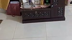 Bf Dominating His Horny Bengali Gf Blowjob