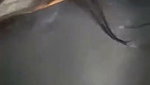 Extremely Indian Babe Sucking Boyfriend Dick Hard Fucking