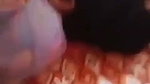 Thresome bhabhi fuck hard Blowjob